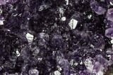 Wide, Dark Purple Amethyst Cluster On Wood Base - Uruguay #113926-2